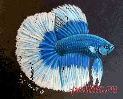 Рыбий глаз Грааля