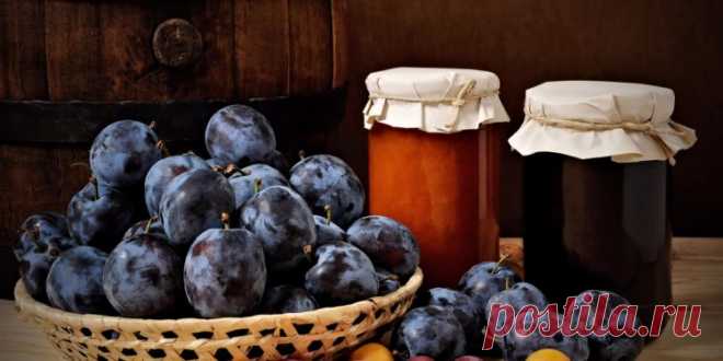 Заготовки из слив - Венская дача