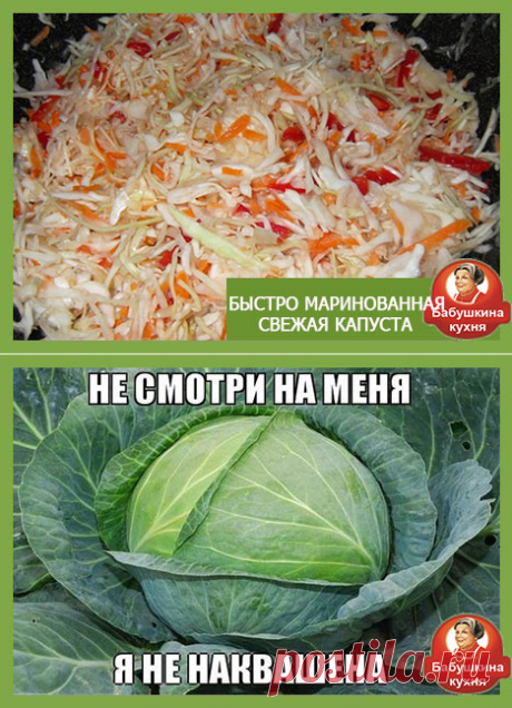 Быстро маринованная капуста