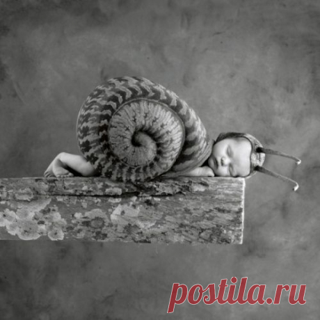 12 нарядов для фотографий младенцев в стиле Энн Геддес