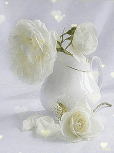 Живые фотографии - Живые картинки - Community - Google+