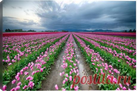 500px Art / Towards Easter! by Francisco Marty