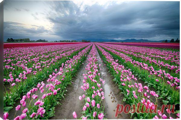 500px Art / Towards Easter! by Francisco Marty