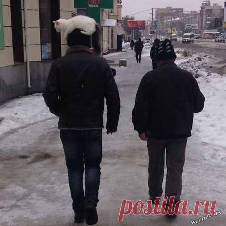 После просмотра этих фотографий, улыбка еще долгое время не покинет вас