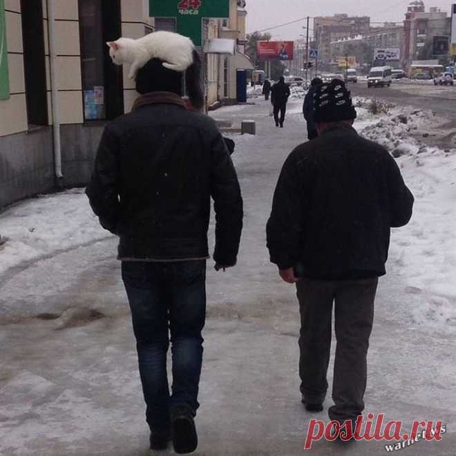 После просмотра этих фотографий, улыбка еще долгое время не покинет вас