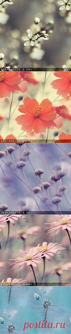 @дневники — Прекрасные фоны для дневников