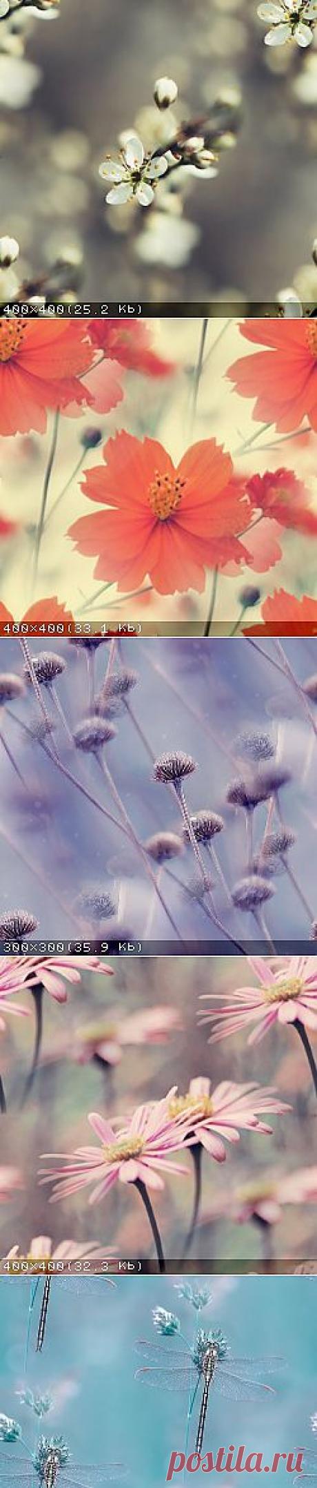 @дневники — Прекрасные фоны для дневников