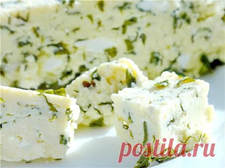 Мягкий домашний сыр с зеленью