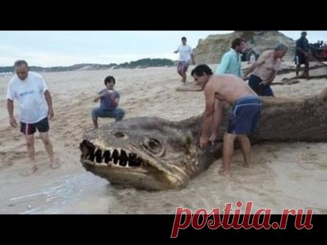 10 УЖАСАЮЩИХ МОРСКИХ ЧУДОВИЩ
