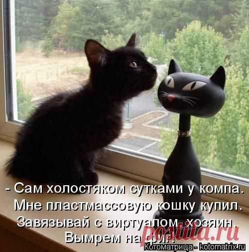 Котоматрица: Круть