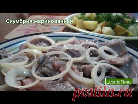 СКУМБРИЯ МАРИНОВАННАЯ. Быстро и вкусно по-домашнему.