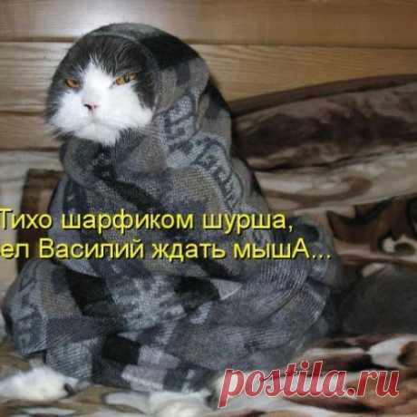 Милые, забавные, смешные...
