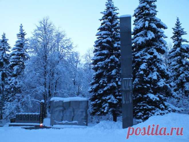 Фотографии Кольчугино | 47 альбомов