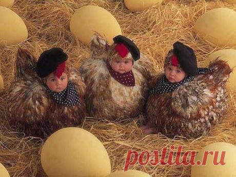 Три в одном...