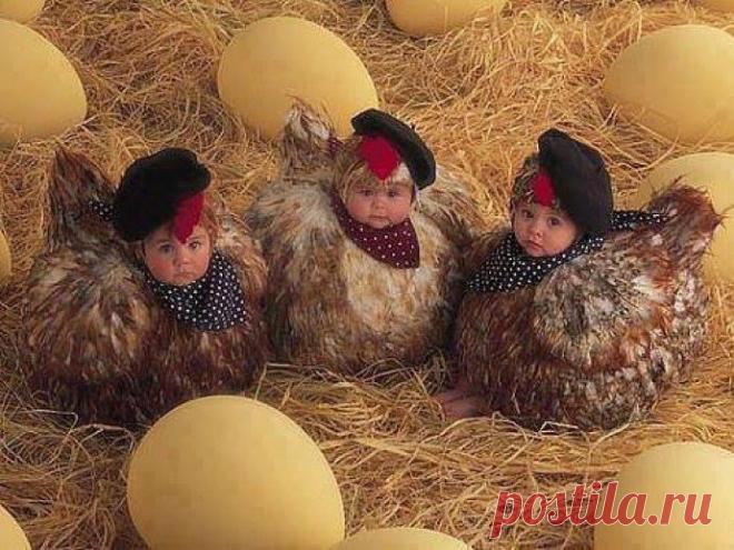 Три в одном...