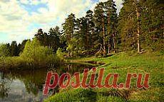 6 советов, как защититься от клещей | БУДЬТЕ ЗДОРОВЫ!