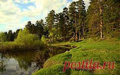 6 советов, как защититься от клещей | БУДЬТЕ ЗДОРОВЫ!