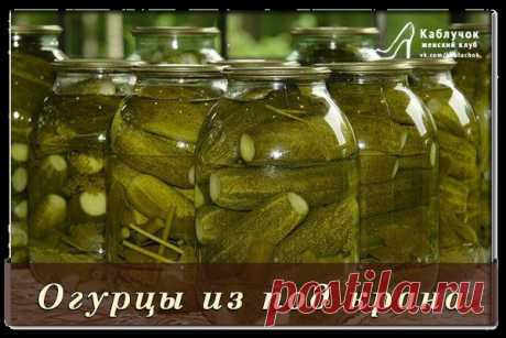 Огурцы из под крана