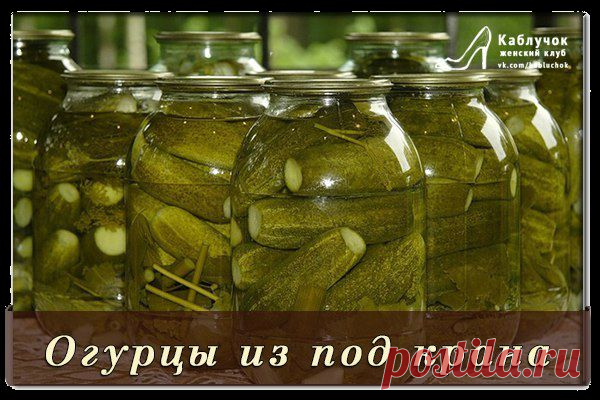 Огурцы из под крана