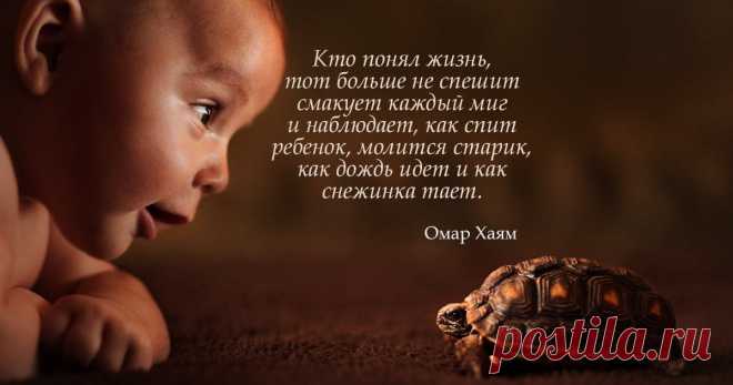 Кто понял жизнь, тот больше не…