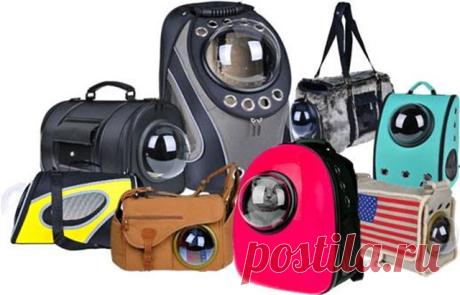 Originales mochilas para transportar gatos