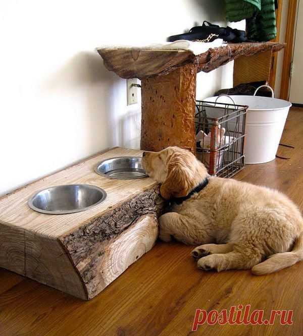 Обустраиваем дом для любимого питомца: 30 оригинальных вариантов - Ярмарка Мастеров - ручная работа, handmade