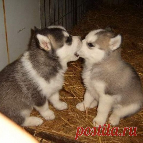 Вы сегодня уже улыбались?