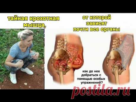 Половые органы, кишечник, мозг, глаза ПОГИБАЮТ из-за спазма ПУБОРЕКТАЛЬНОЙ мышцы. Коррекция