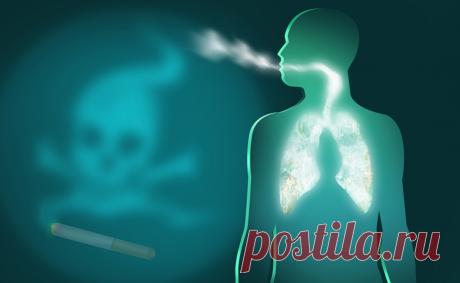 Как самостоятельно очистить легкие от табачных смол. - Начинайте принимать 1.Добавляйте в горячую воду сборы из листьев смородины, кедра, эвкалипта, полыни и мяты.
2. витамины А, В, С и Е с дозами селена и цинка. Пропить курс калия оротата —  благотворно для кровеносной системы.
3.свежие ананасы каждый день, Читать на Don't Panic: https://dnpmag.com/2022/03/23/kak-ochistit-legkie-2-2/