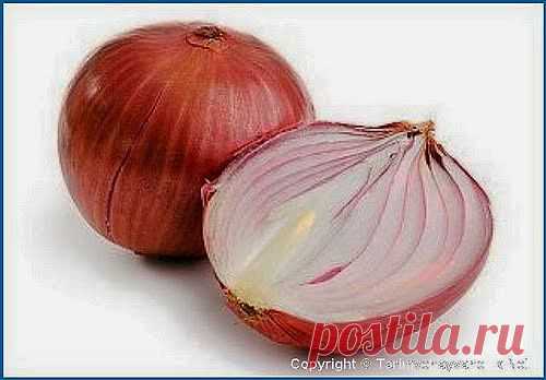 Лук заменит йод | Друг пенсионера
Этот рецепт хорош для людей, мно­го работающих на даче или в дерев­не. Иногда на огороде случается по­раниться. Случилось такое и со мной. Я выбрала с грядки свеклу и отрезала лишнюю ботву.