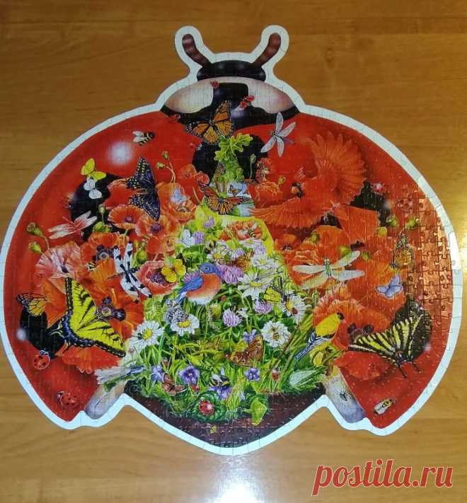 Божья коровка
