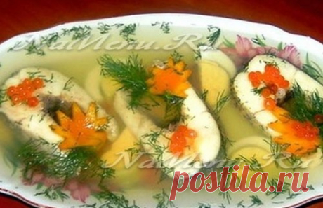 Заливное из рыбы: какая рыба лучше для заливного