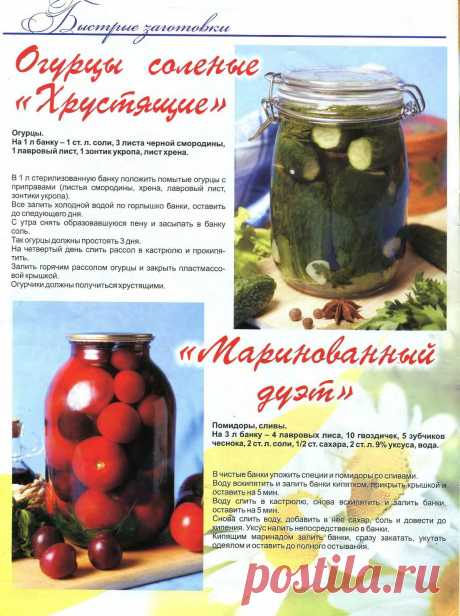 Коллекция рецептов