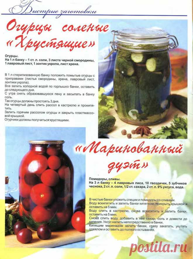 Коллекция рецептов