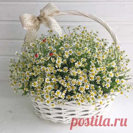 НИКОГДА НЕ УХОДИТ ТО,
ЧТО ОСТАЁТСЯ В ОБЪЯТИЯХ ДУШИ...