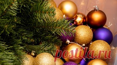 Ветеринар Шеляков: шарики на ёлке должны быть пластиковые. Ветеринарный врач высшей категории Михаил Шеляков рассказал, как украсить дом к Новому году и не навредить питомцам. Читать далее