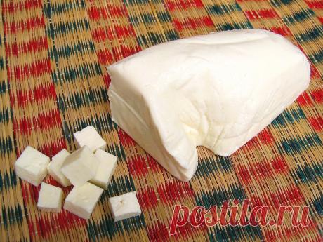 Панир (домашний сыр).