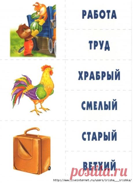 Синонимы
