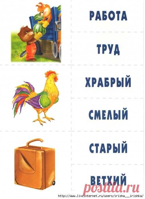Синонимы