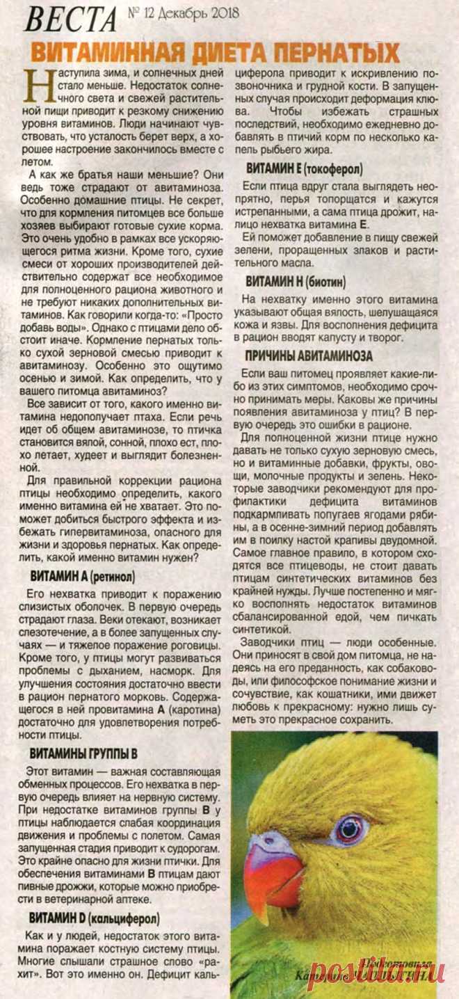 Витаминная диета пернатых