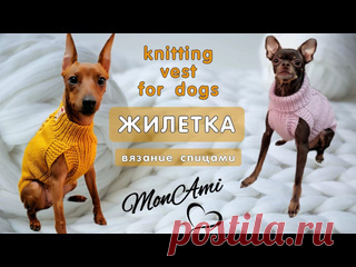 Как связать спицами жилетку для собаки, knitting vest for dogs Предлагаю Вашему вниманию подробный мастер класс по созданию жилетки для собак.Весь процесс очень подробно.Модель и для мальчиков и для девочек.Вязание на двух спицах с леской по принципу мэйджик луп и на 5-ти чулочных спицах.Схемы рисунков выложила в Телеграм и ВК ⬇️⬇️⬇️..