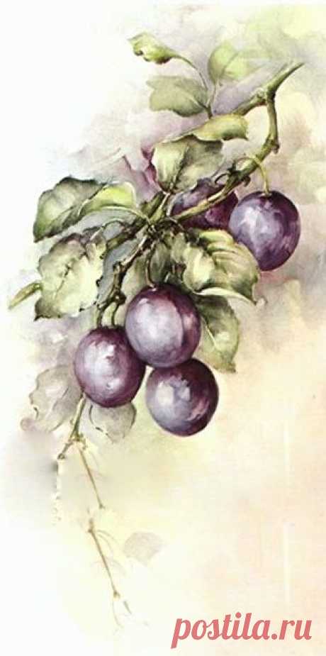 2be09657.jpg (293×589)