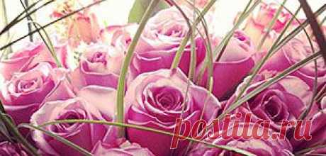 Распродажи и скидки в Москве. Дисконтные-центры, стоки, модные бренды, крупные распродажи и скидки