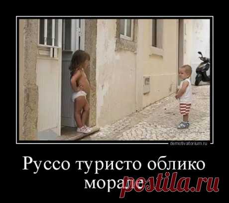 Самообладание — это когда вместо того, чтобы повысить голос, приподнимаешь бровь - Приколисты - медиаплатформа МирТесен