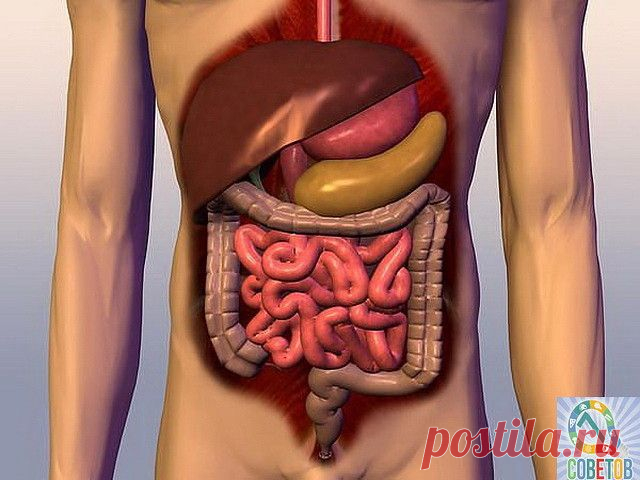 ДЕРЖИ КИШЕЧНИК В ЧИСТОТЕ!
