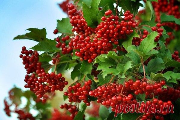 Галина Евстафьева: каждый прожитый день несет с собой новые возможности....