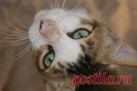 Лето | Фотографии Ксюша Ксюшина | 201 фото