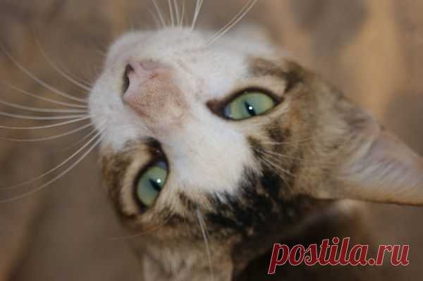 Лето | Фотографии Ксюша Ксюшина | 201 фото