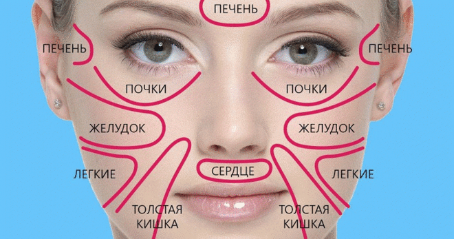 Благодаря этой китайской схеме узнала о своей болезни раньше врачей! Это меня спасло.
Говорят, что глаза — зеркало души. Как глаза отражают внутренний мир, так кожа отражает состояние здоровья человека. Китайские медики считают, что каждый участок кожи связан с определенным органом. Таким образом разные высыпания, прыщи и изменение цвета кожи могут быть тревожными сигналами, которые подает наш организм.
Разобраться в том, за какие органы отвечает определенный участок кожи, поможет эта китайская