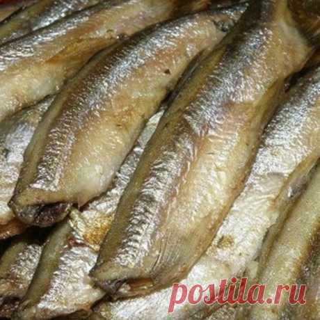 Лучшие кулинары! в Instagram: «Мойва в фольге и в духовке. 1 кг мороженой мойвы специи: 1 ч. л. соли, базилик, черный перец, укроп, розмарин, куркума, кориандр, имбирь…»